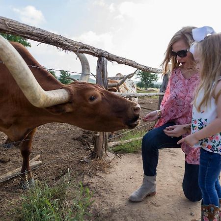 Wildcatter Ranch And Resort Graham Экстерьер фото