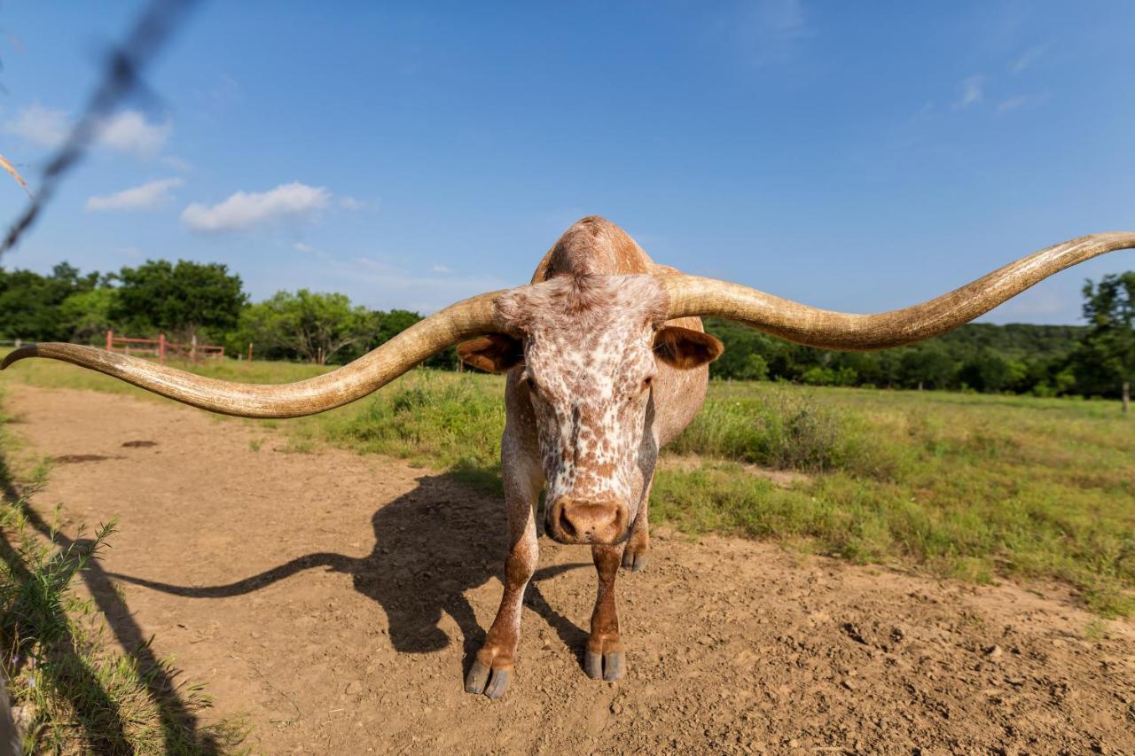 Wildcatter Ranch And Resort Graham Экстерьер фото